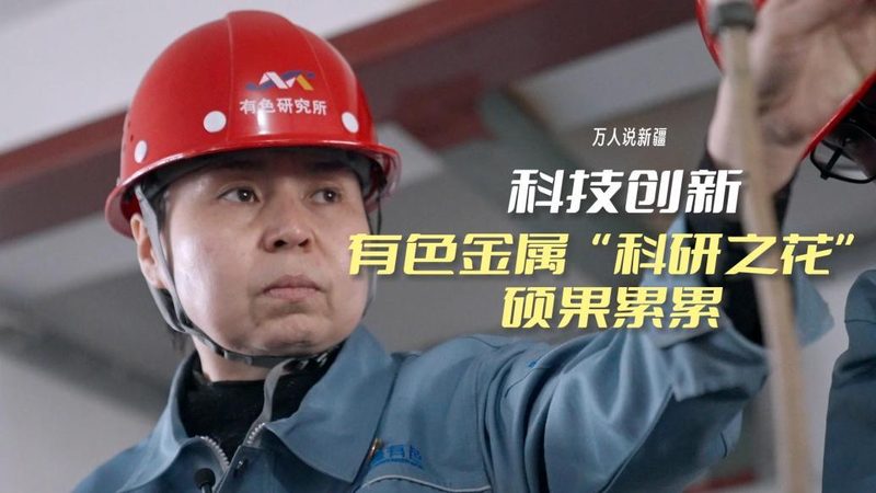 OA办公系统：性价比背后的考量因素